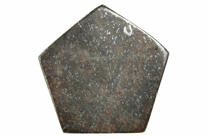 Stony Chondrite Cabochon ( g) - Meteorite #238196